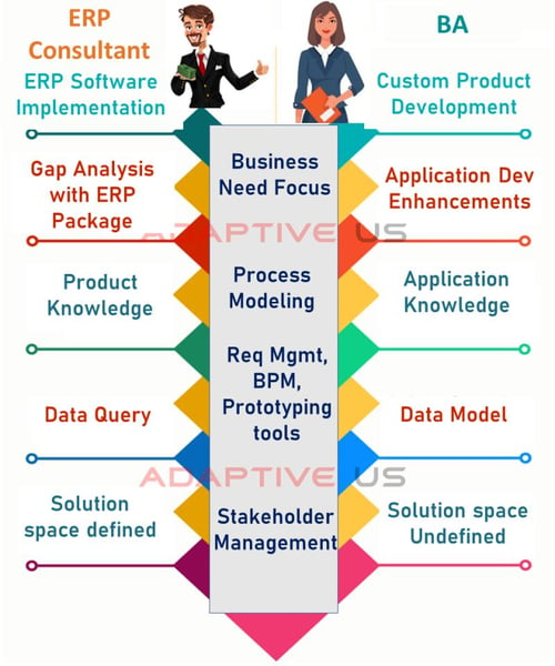 ERP Consultant vs. BA