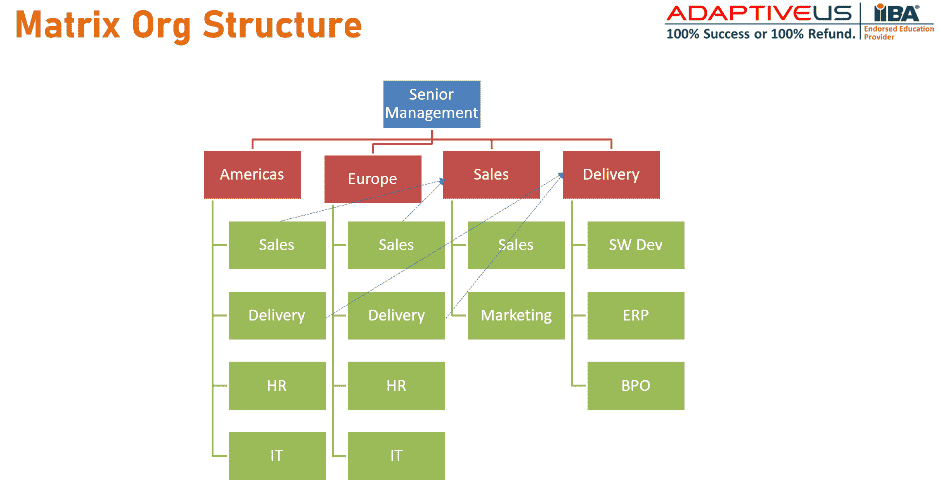 Example of Matrix Org Structure