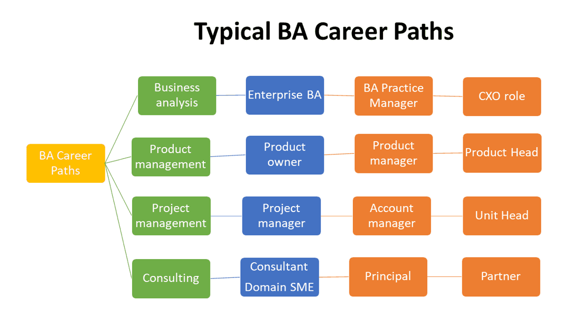 Career Paths For Business Analysts 9159