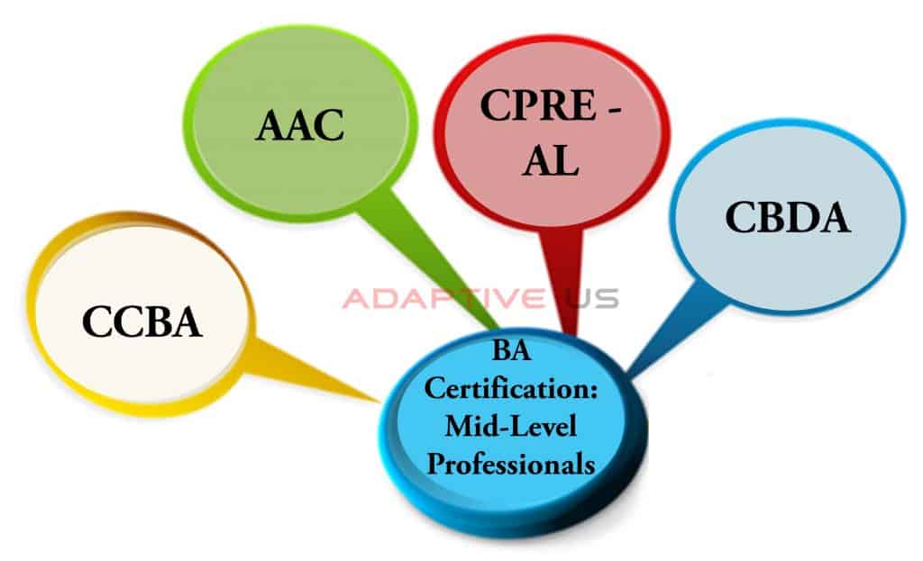 Business Analyst Job Description, Skills, Salary, Certifications