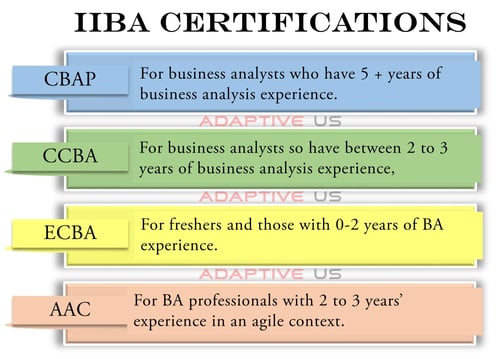 Related CCBA Certifications