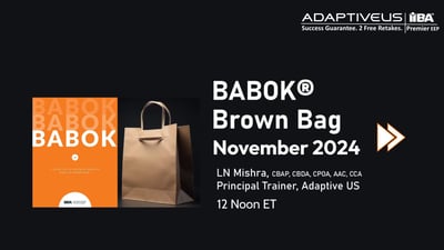 November 2024 Brown Bag Webinar