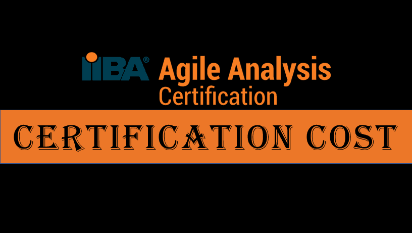 CCBA Certification Practice