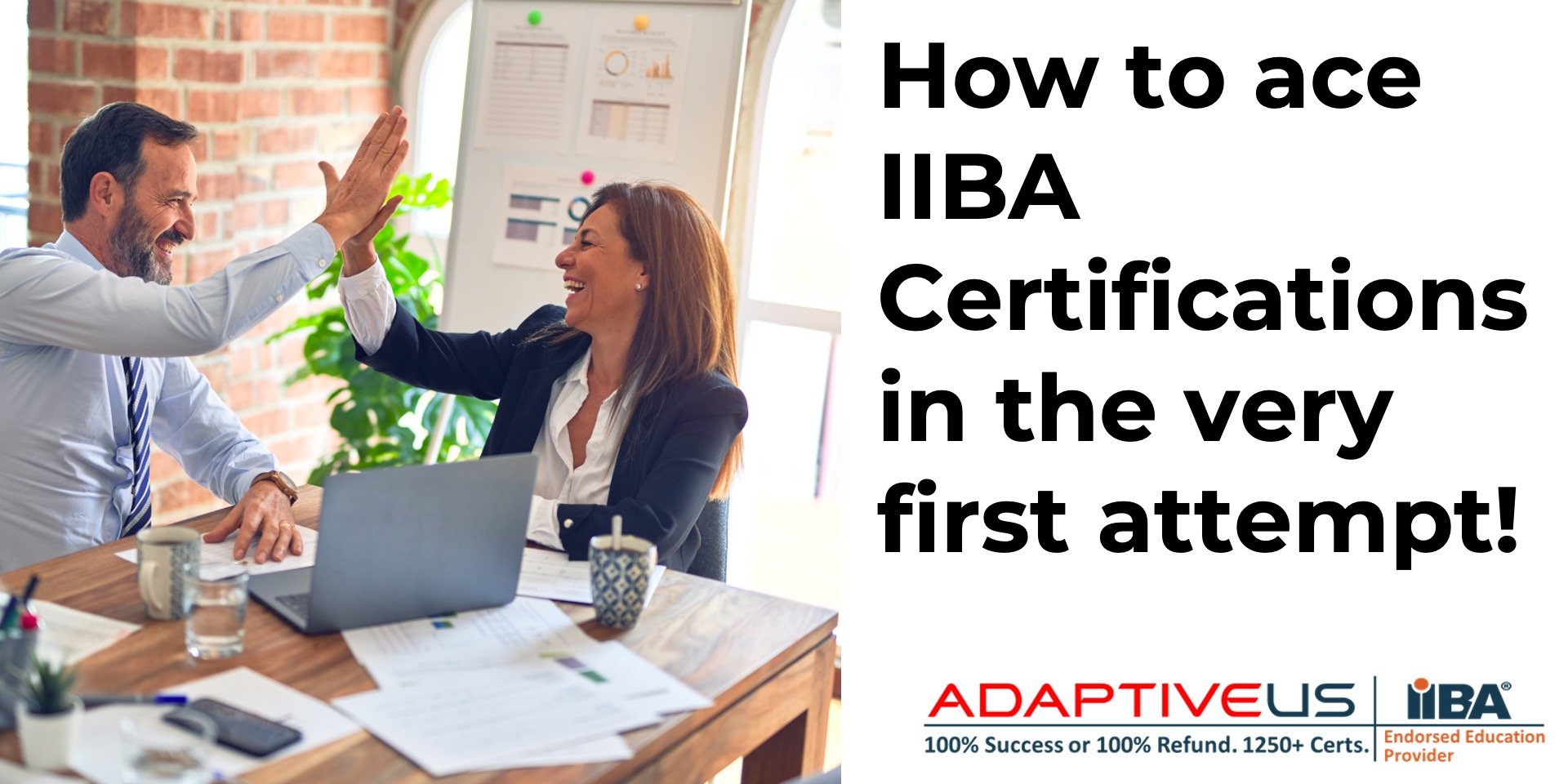 How To Ace IIBA Certifications In The Very First Attempt